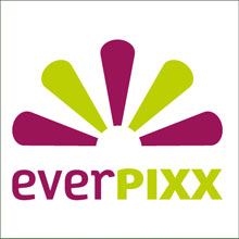 Corporate Identity, Retail, Web